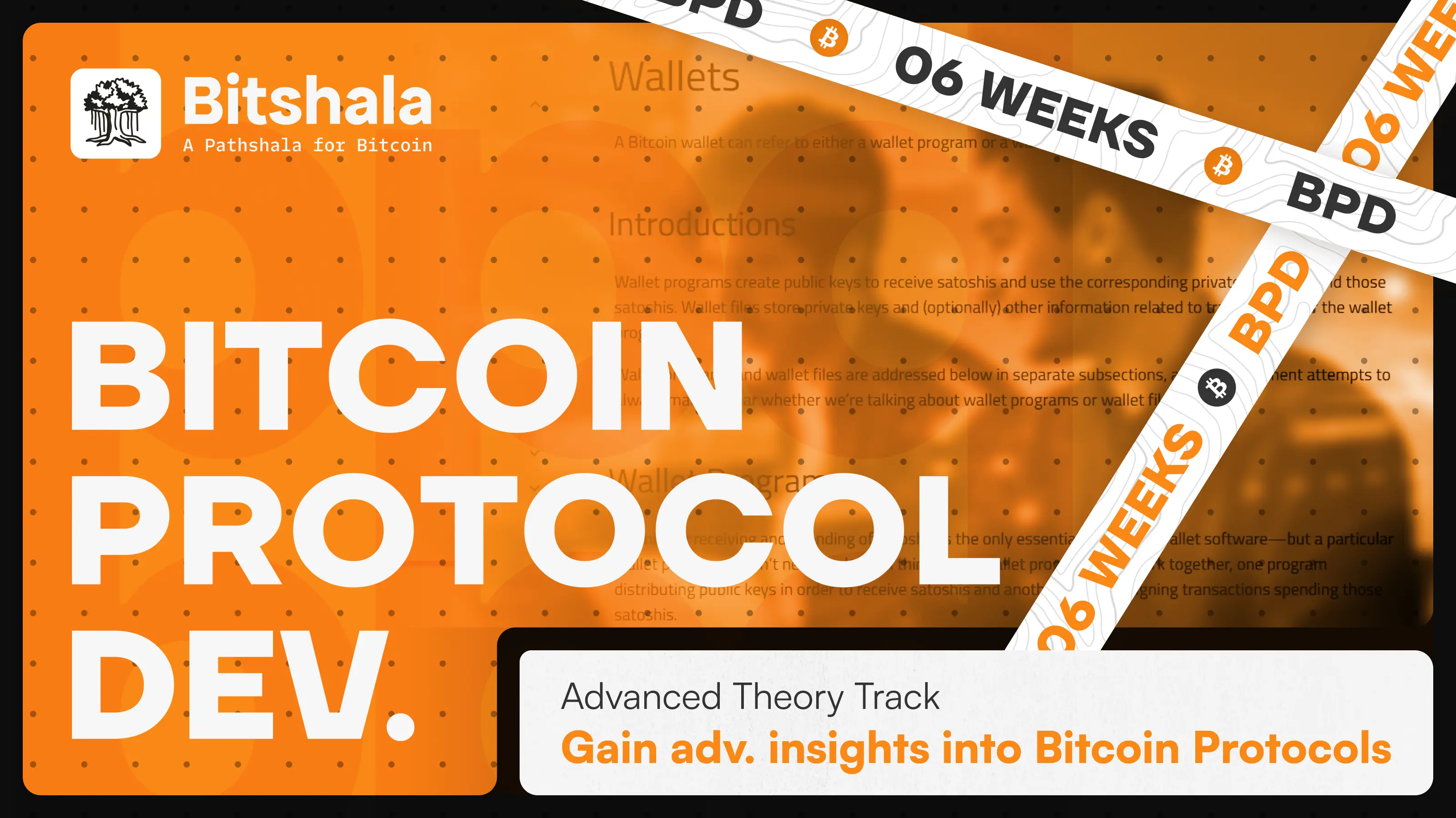 Bitcoin Protocol Dev.