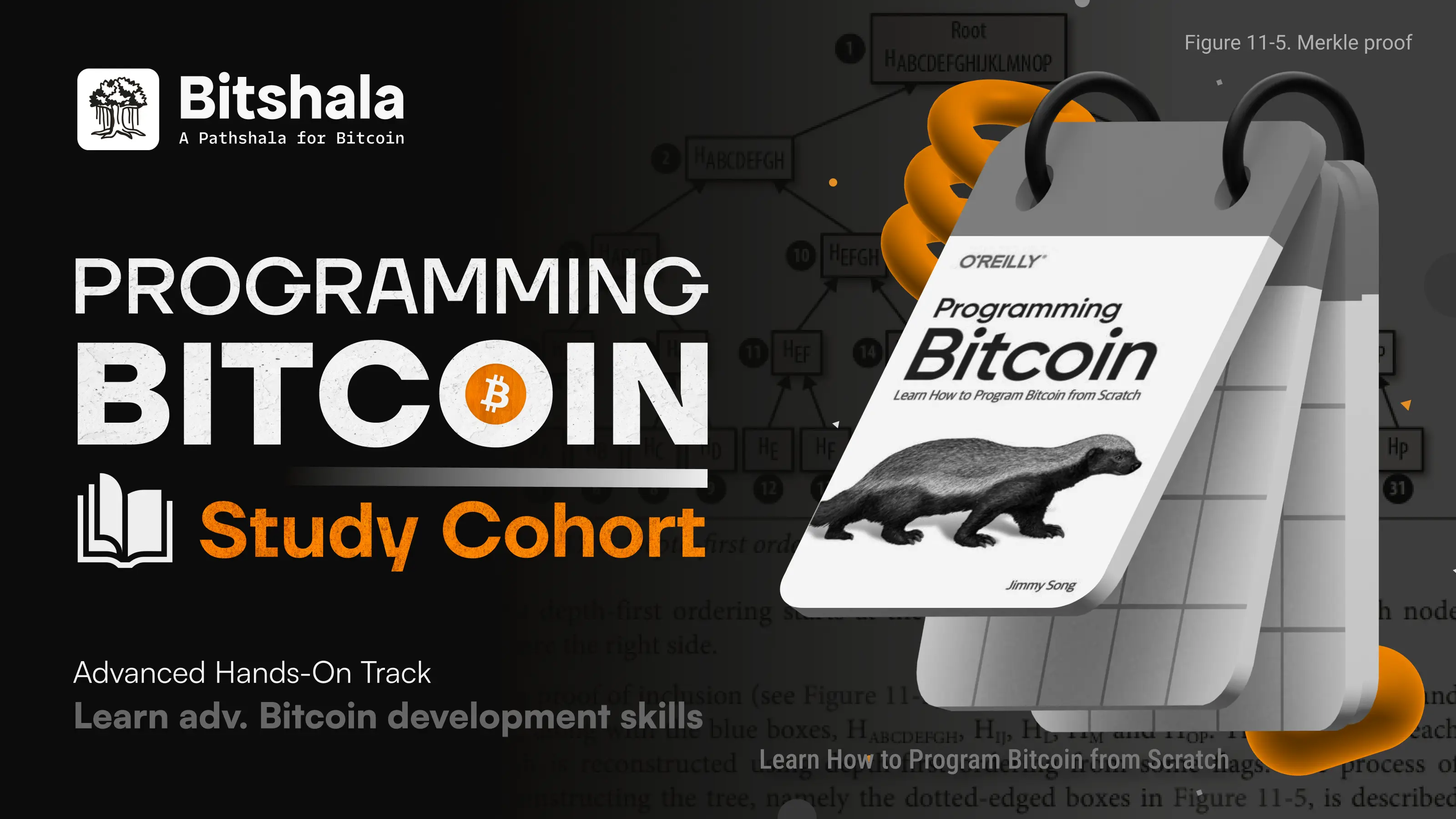 Programming Bitcoin